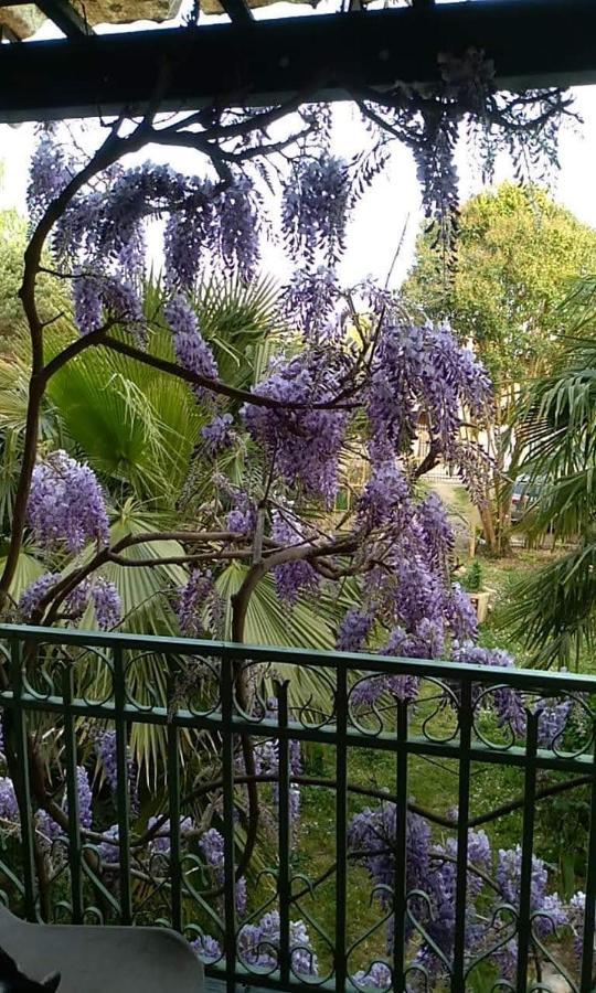 La Maison Botanique คาสติยง-ลา-บาตาล์ย ภายนอก รูปภาพ